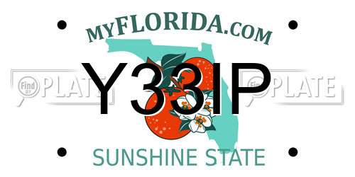Y33IP Florida License Plate