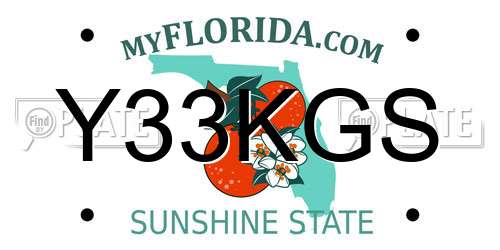 Y33KGS Florida License Plate