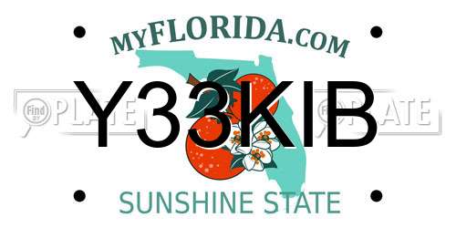 Y33KIB Florida License Plate