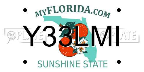 Y33LMI Florida License Plate