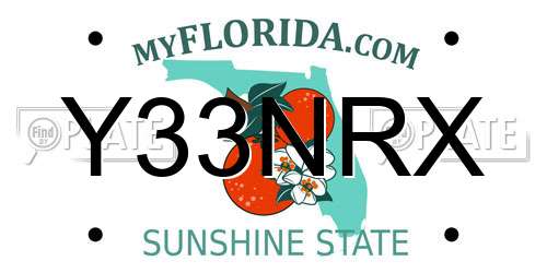 Y33NRX Florida License Plate