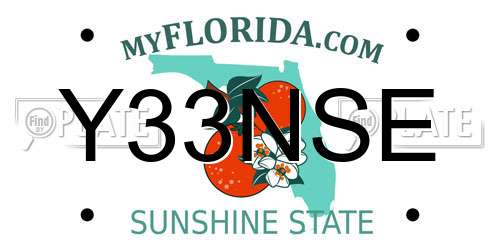 Y33NSE Florida License Plate