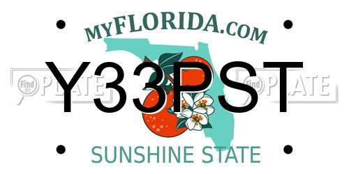 Y33PST Florida License Plate