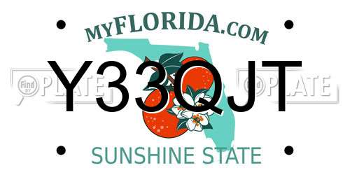 Y33QJT Florida License Plate