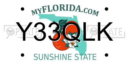 Y33QLK Florida License Plate