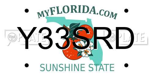Y33SRD Florida License Plate