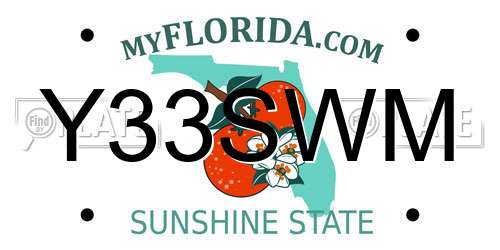 Y33SWM Florida License Plate