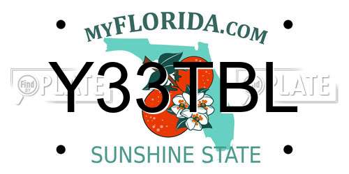 Y33TBL Florida License Plate