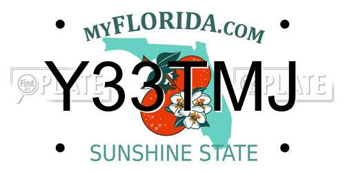 Y33TMJ Florida License Plate