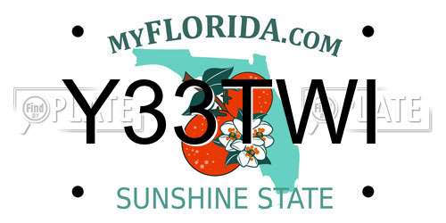 Y33TWI Florida License Plate