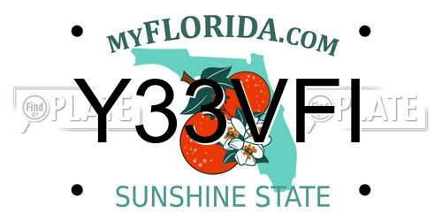 Y33VFI Florida License Plate