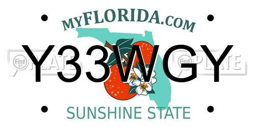 Y33WGY Florida License Plate