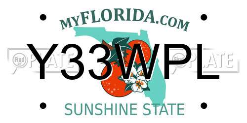 Y33WPL Florida License Plate