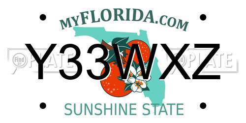 Y33WXZ Florida License Plate