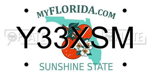 Y33XSM Florida License Plate