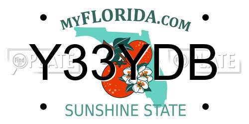 Y33YDB Florida License Plate