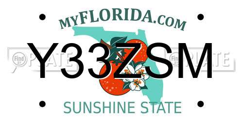 Y33ZSM Florida License Plate