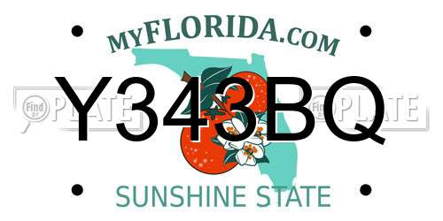 Y343BQ Florida License Plate