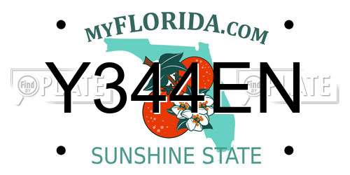 Y344EN Florida License Plate