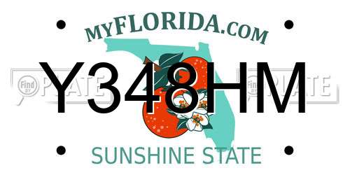 Y348HM Florida License Plate