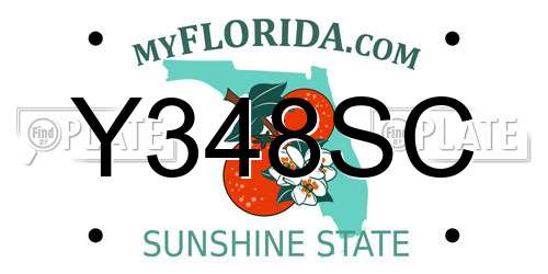 Y348SC Florida License Plate