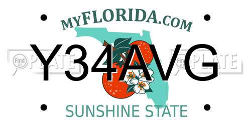 Y34AVG Florida License Plate