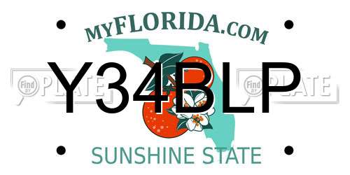 Y34BLP Florida License Plate