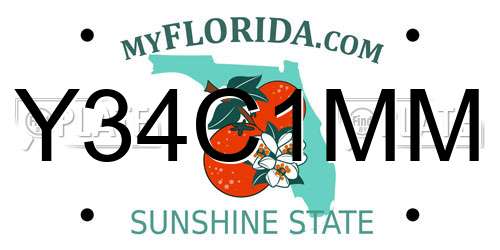 Y34C1MM Florida License Plate