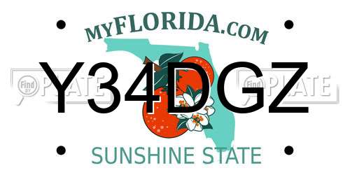 Y34DGZ Florida License Plate