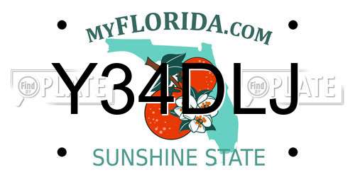 Y34DLJ Florida License Plate
