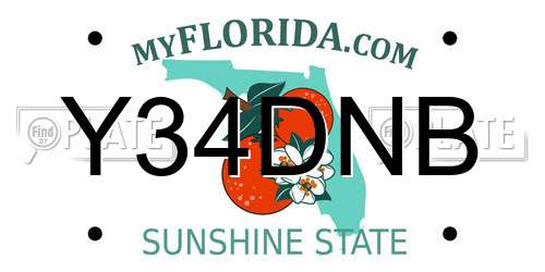 Y34DNB Florida License Plate