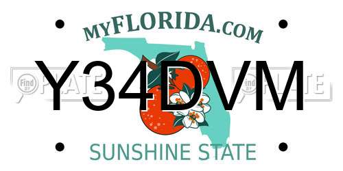 Y34DVM Florida License Plate
