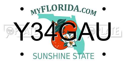 Y34GAU Florida License Plate