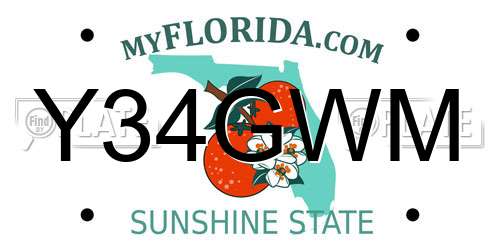 Y34GWM Florida License Plate