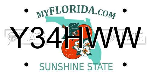 Y34HWW Florida License Plate