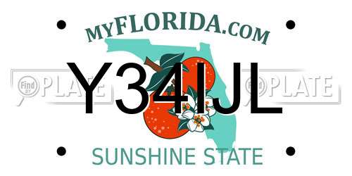 Y34IJL Florida License Plate