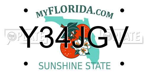 Y34JGV Florida License Plate