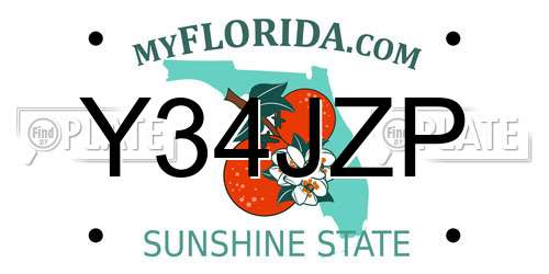 Y34JZP Florida License Plate