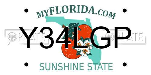 Y34LGP Florida License Plate