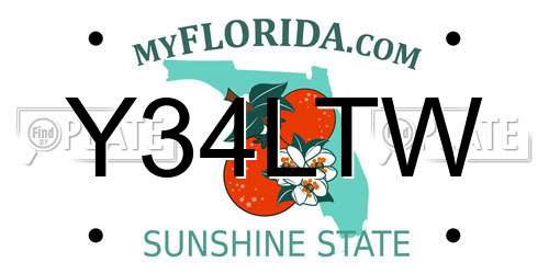 Y34LTW Florida License Plate