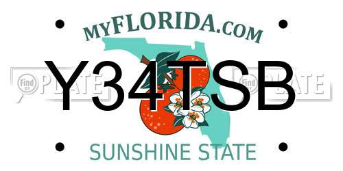 Y34TSB Florida License Plate