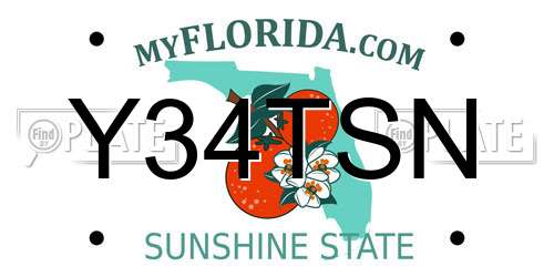 Y34TSN Florida License Plate