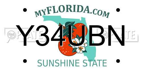 Y34UBN Florida License Plate
