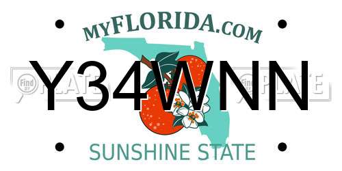 Y34WNN Florida License Plate
