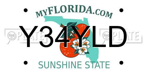 Y34YLD Florida License Plate