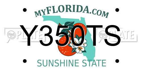 Y350TS Florida License Plate
