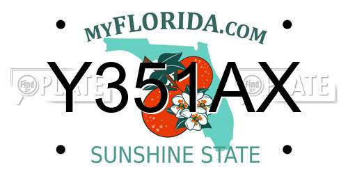 Y351AX Florida License Plate