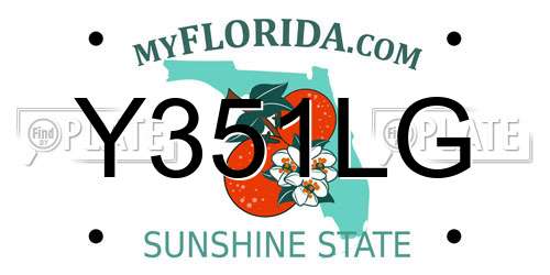 Y351LG Florida License Plate