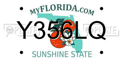 Y356LQ Florida License Plate