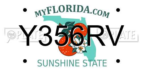 Y356RV Florida License Plate